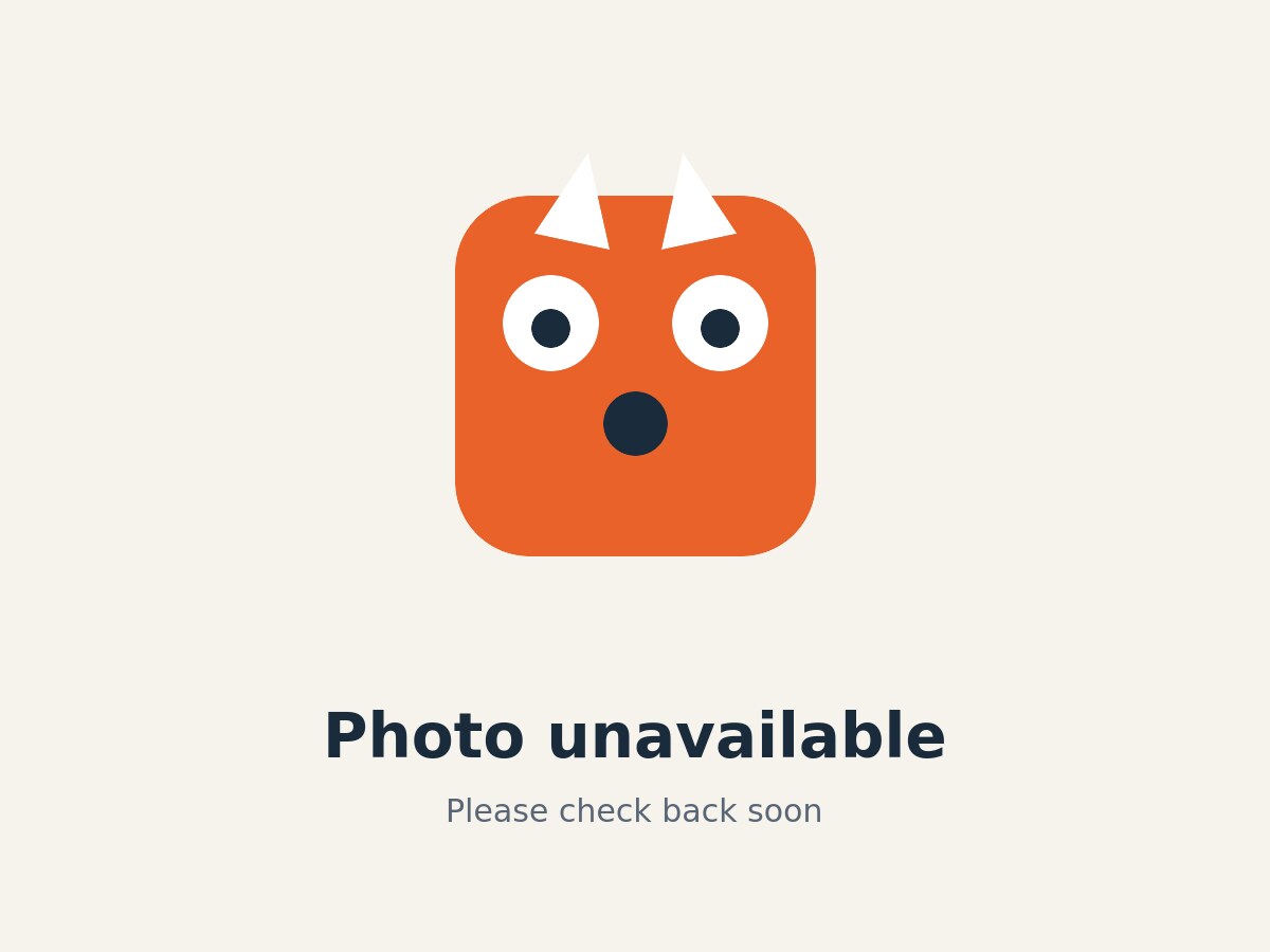Butters — Golden Retriever puppy for sale